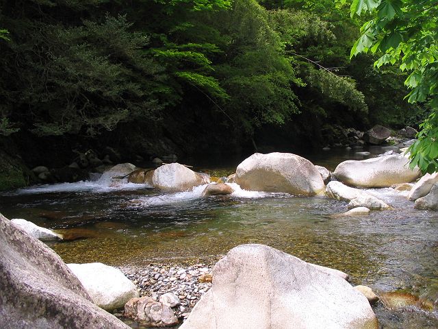 十津川・芦廼瀬川支流・大野川