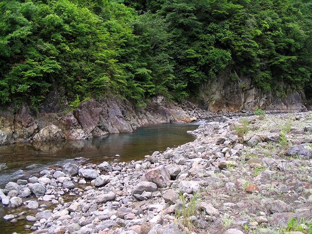 十津川・神納川本流