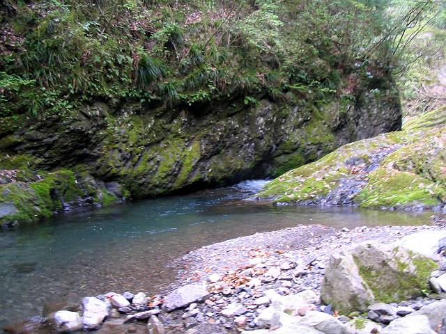 十津川・西川支流・片川