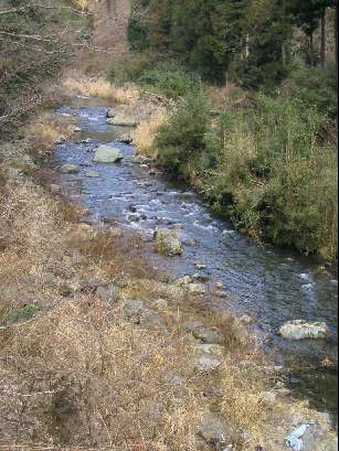 奈良県西吉野・丹生川