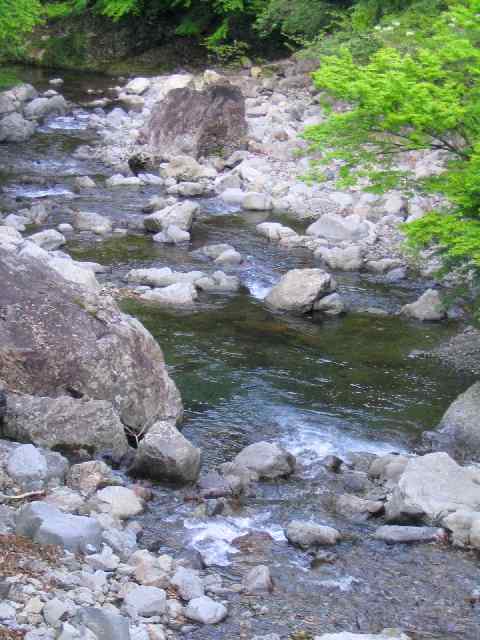 三重県大内山川