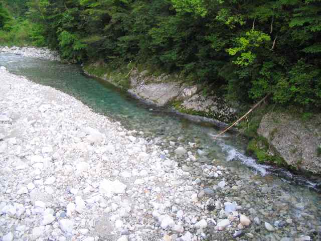古座川・ダム上流